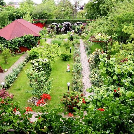 Pension Delia Gardens 티미쇼아라 외부 사진