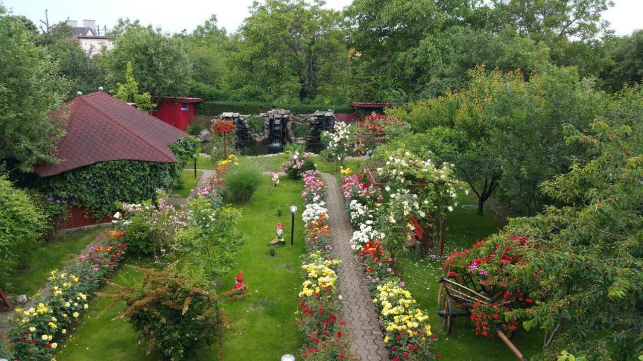 Pension Delia Gardens 티미쇼아라 외부 사진