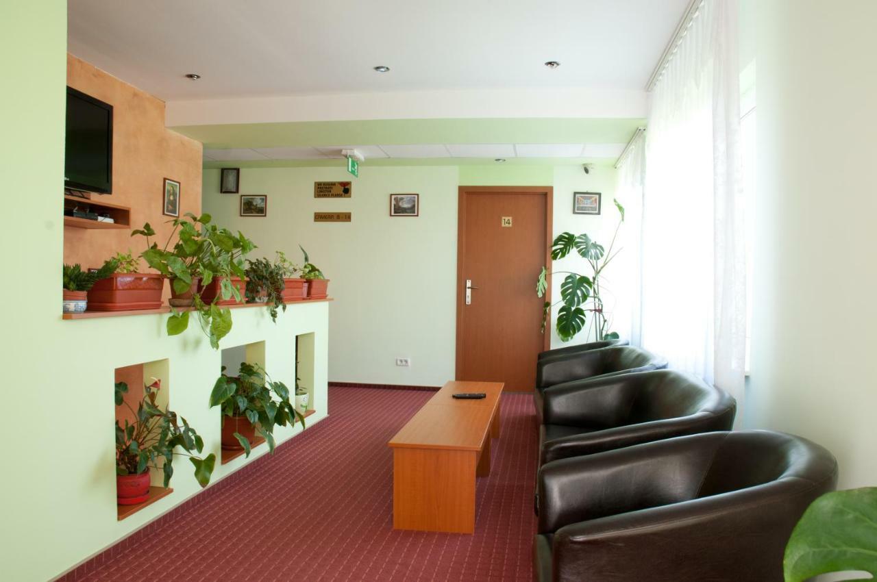Pension Delia Gardens 티미쇼아라 외부 사진