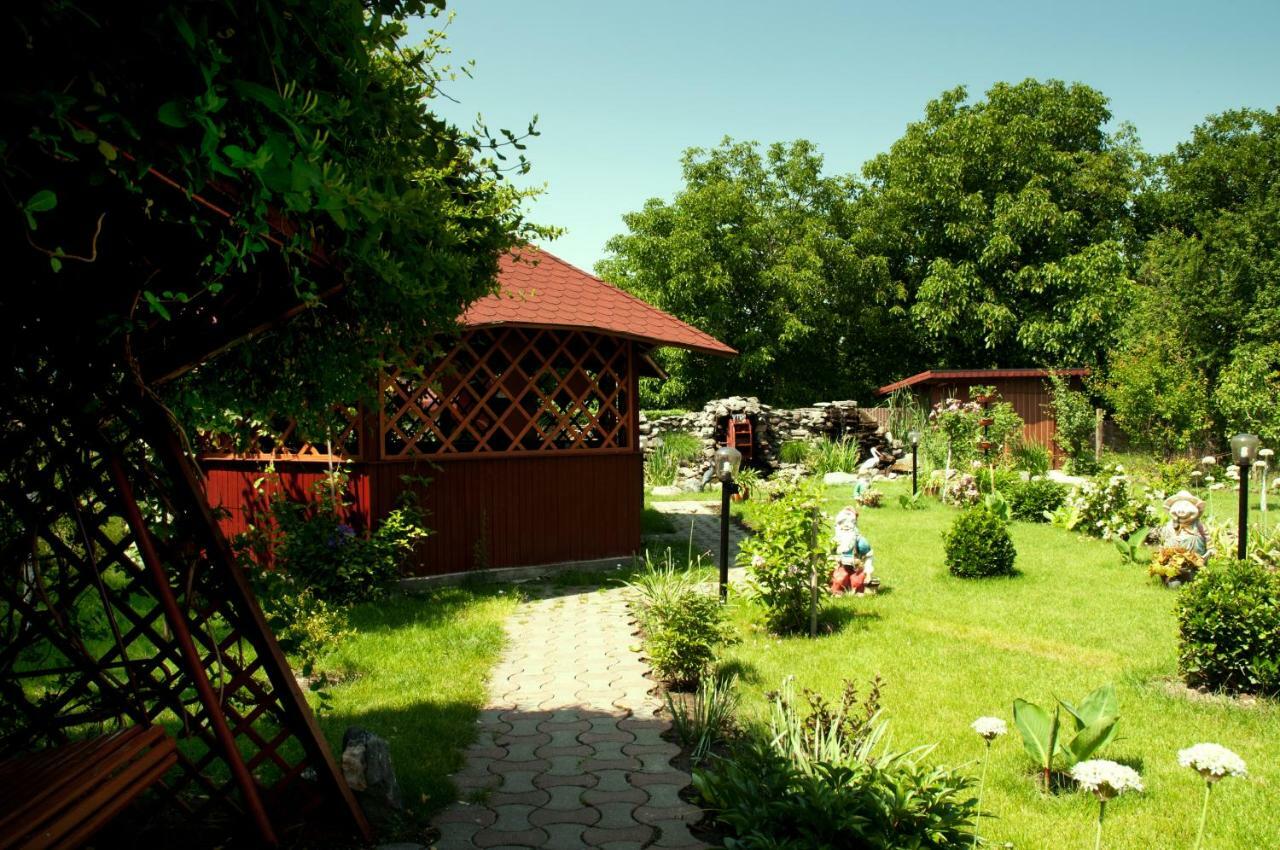 Pension Delia Gardens 티미쇼아라 외부 사진