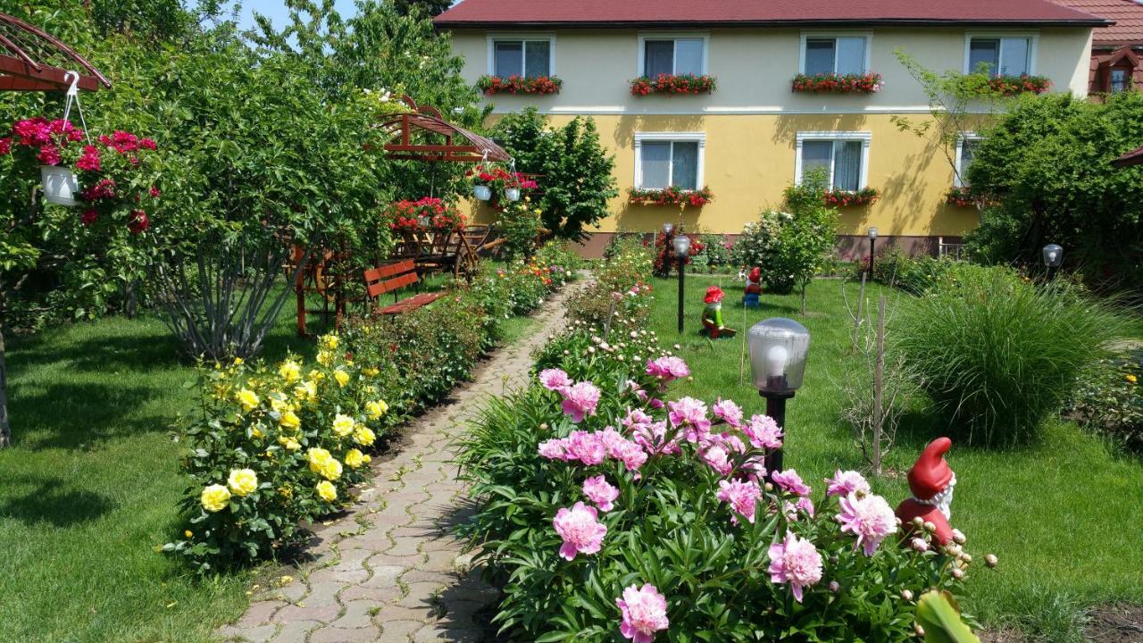Pension Delia Gardens 티미쇼아라 외부 사진