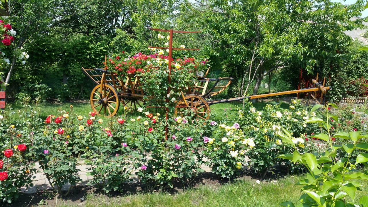 Pension Delia Gardens 티미쇼아라 외부 사진